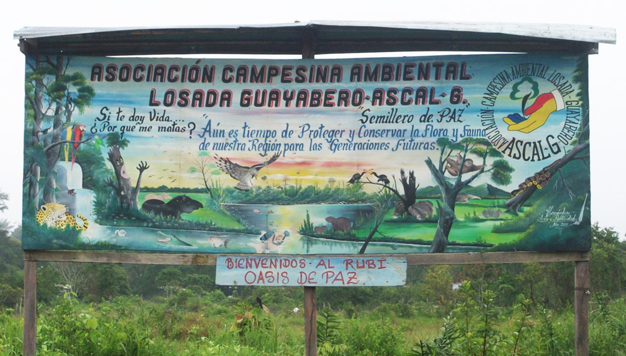DENUNCIA PÚBLICA de La asociación campesina ambiental del Lozada Guayabero ASCAL-G del municipio de La Macarena en el departamento del Meta