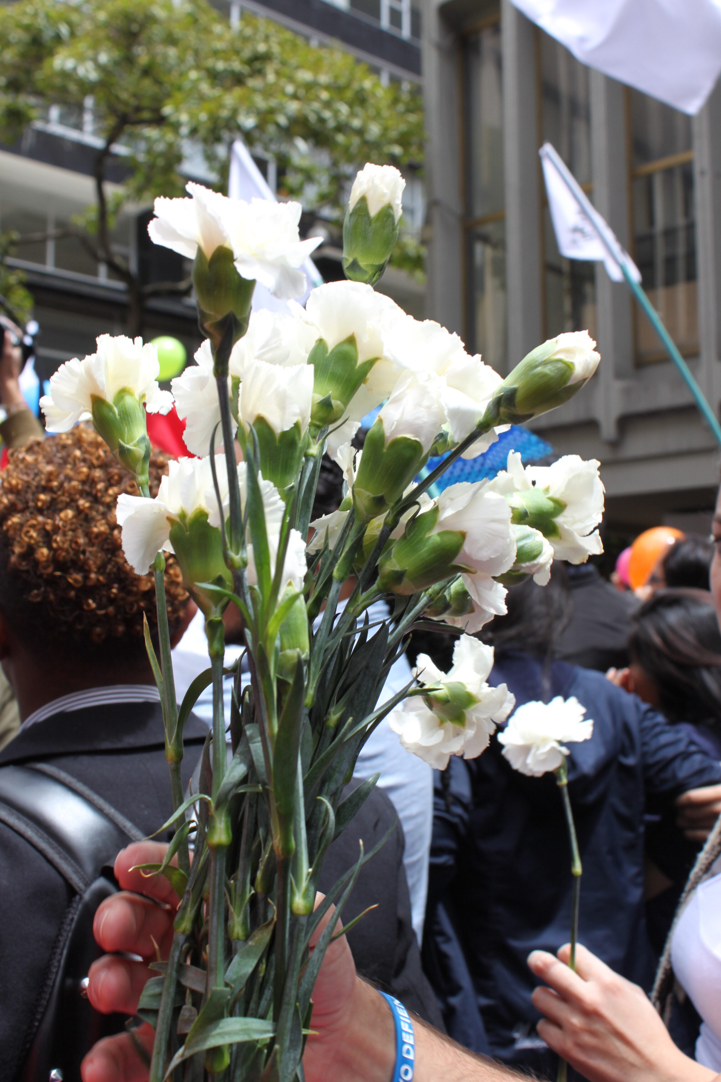 Yamile Salinas Abdala y sus investigaciones sobre las alianzas del paramilitarismo – por Natalia Orduz Salinas