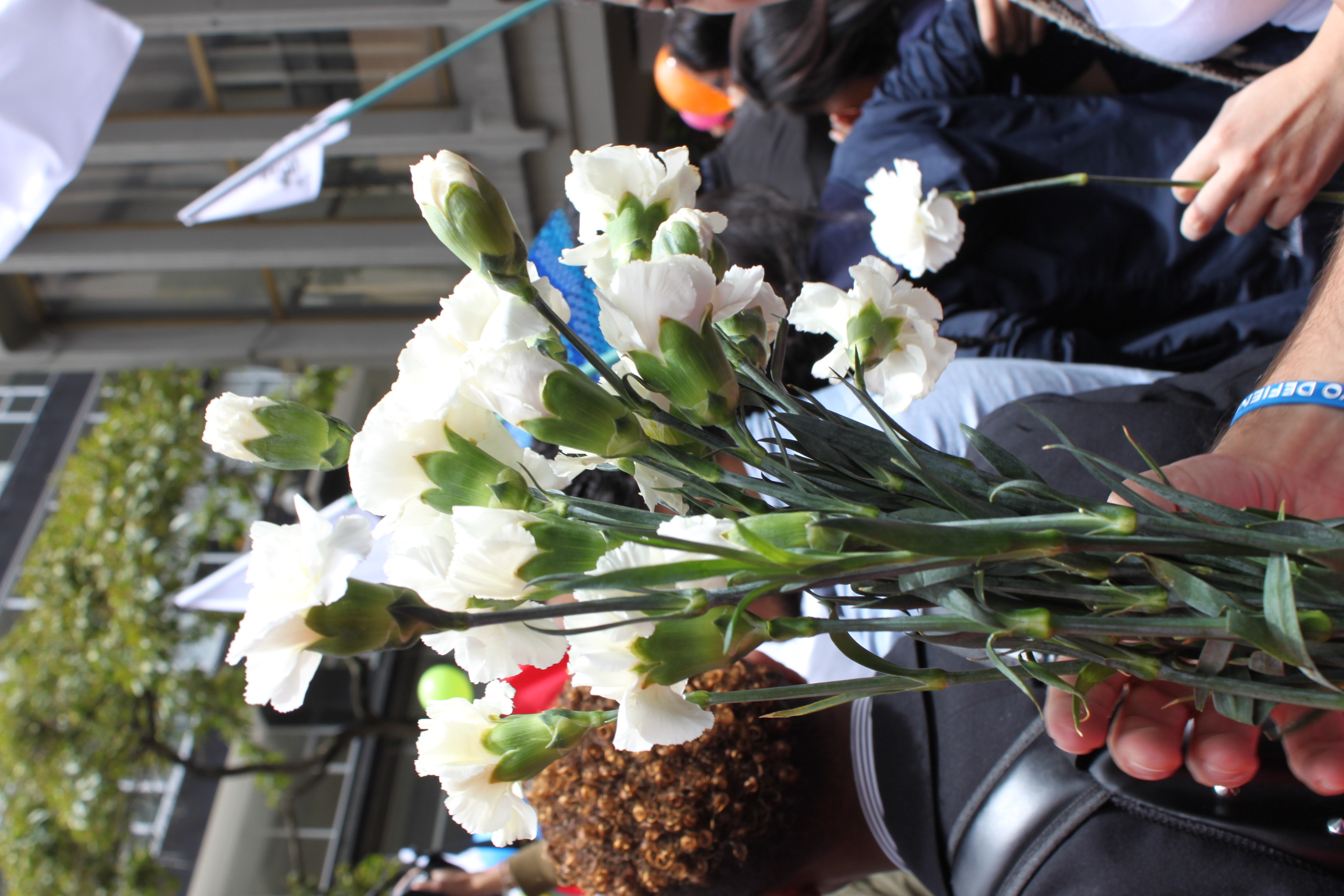 Yamile Salinas Abdala y sus investigaciones sobre las alianzas del paramilitarismo – por Natalia Orduz Salinas