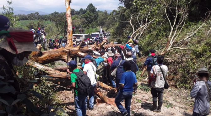 Boletín de Indepaz: La Minga hacia adentro en el Cauca responde a los asesinatos con un ejercicio de autonomía en la erradicación de cultivos de coca al servicio del narcotráfico