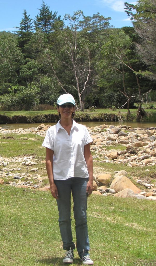 El legado del oráculo