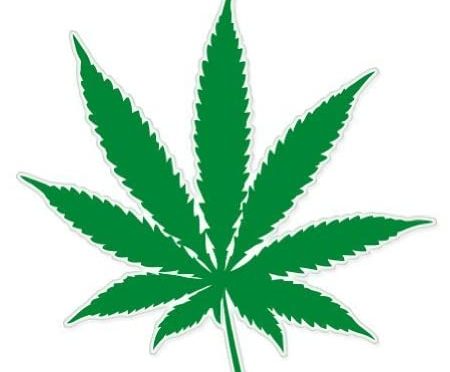 marco regulatorio para el cannabis de uso adulto – proyecto de ley