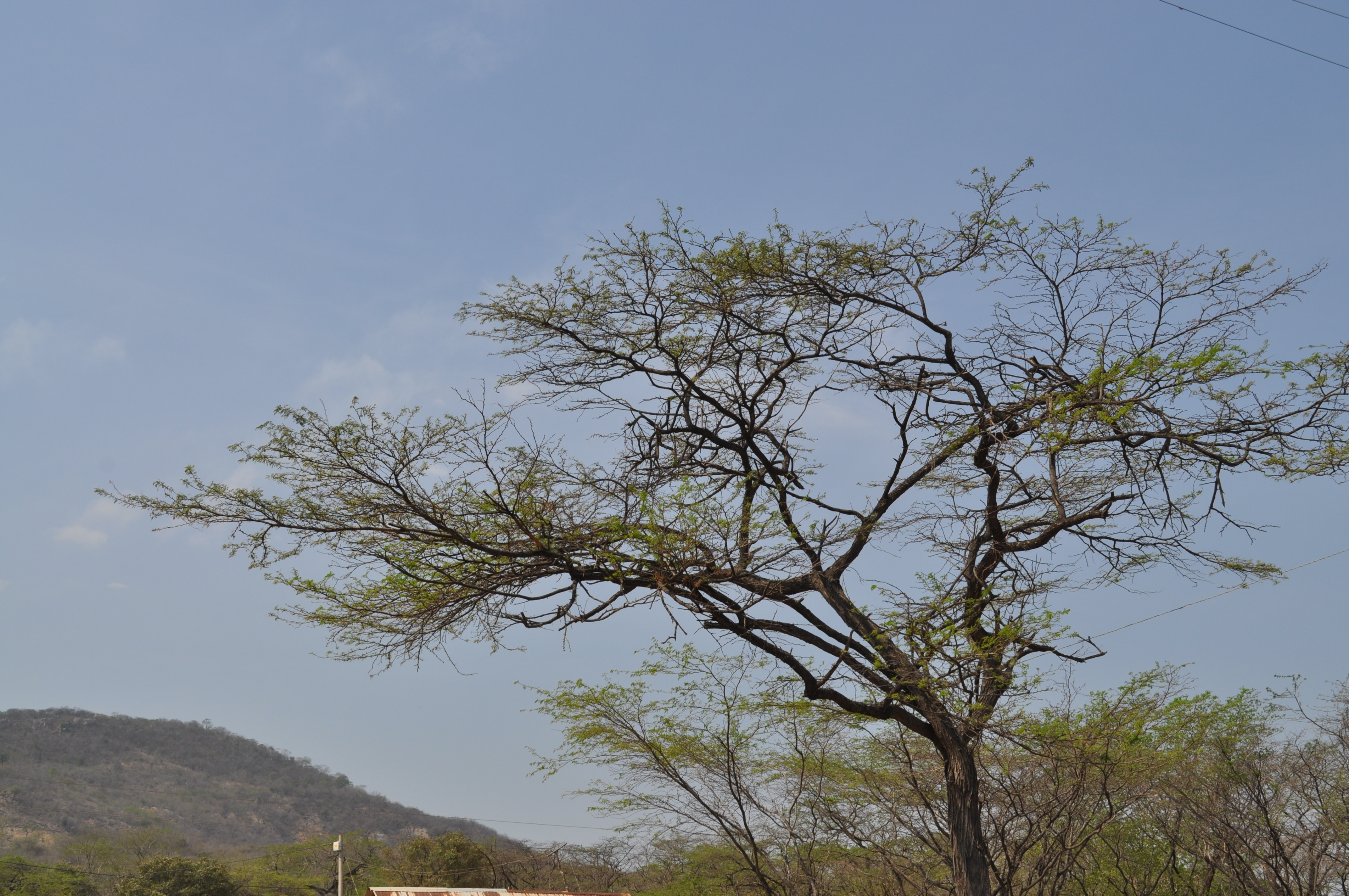 La Ley de “seguridad ciudadana” en contra de las garantías ciudadanas