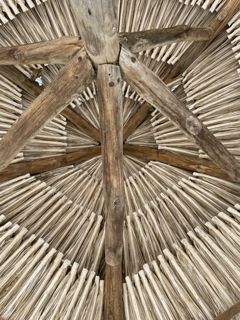 Balance de la política de transición energética del actual gobierno por Natalia Orduz Salinas