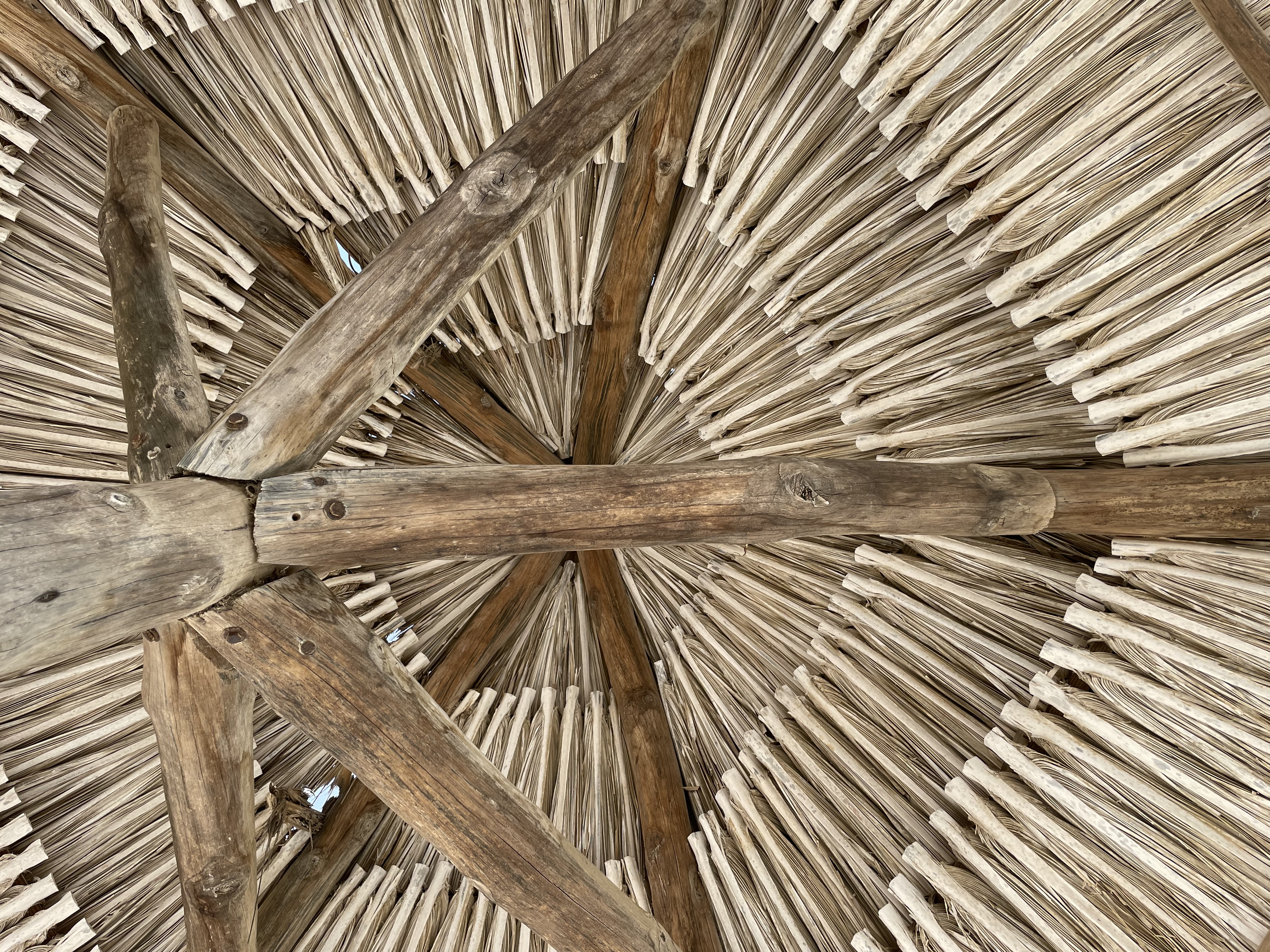 Balance de la política de transición energética del actual gobierno por Natalia Orduz Salinas