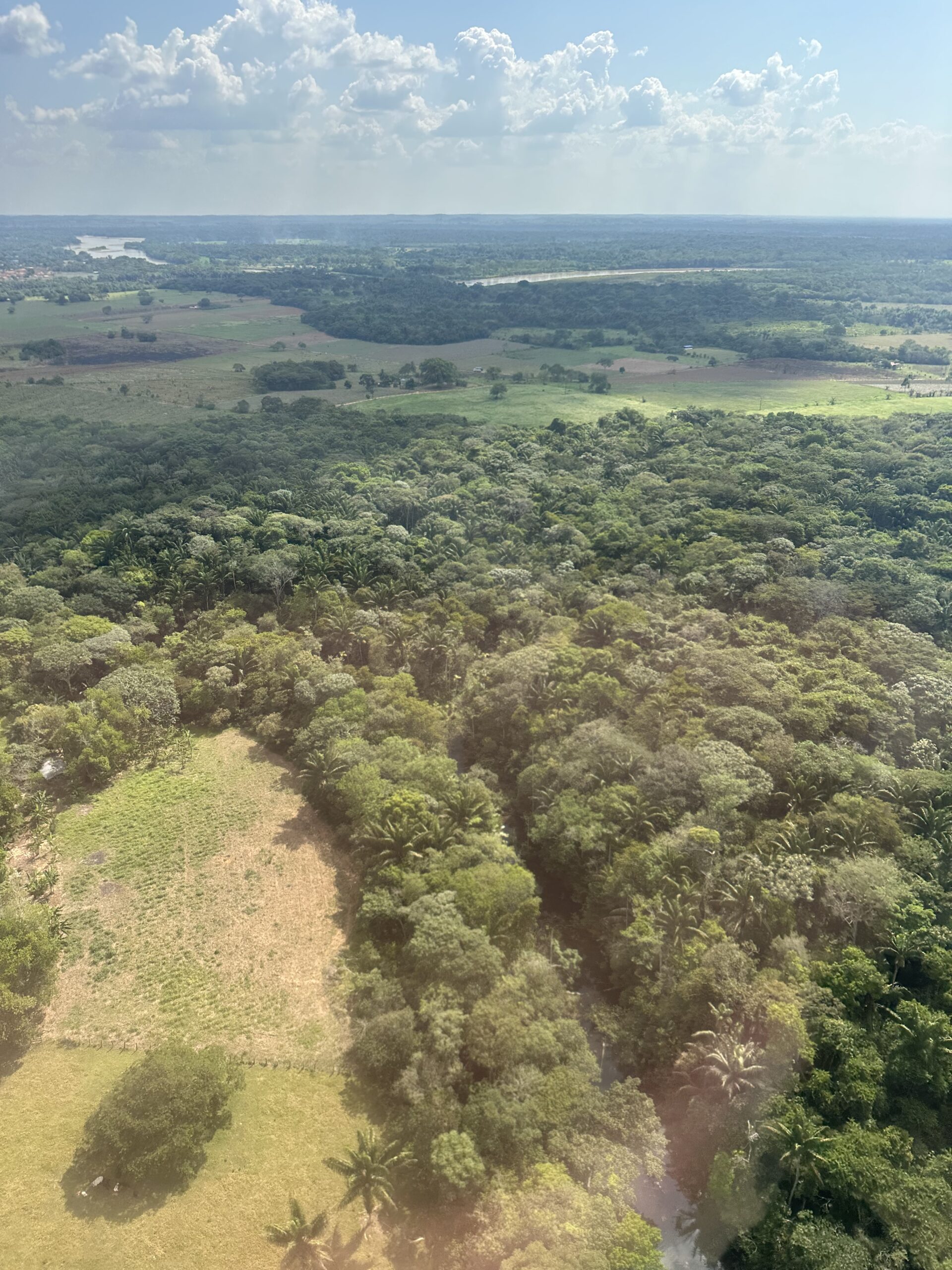 Reforma agraria y política de drogas: la deuda pendiente con los territorios rurales de Colombia – Salomón Majbub Avendaño