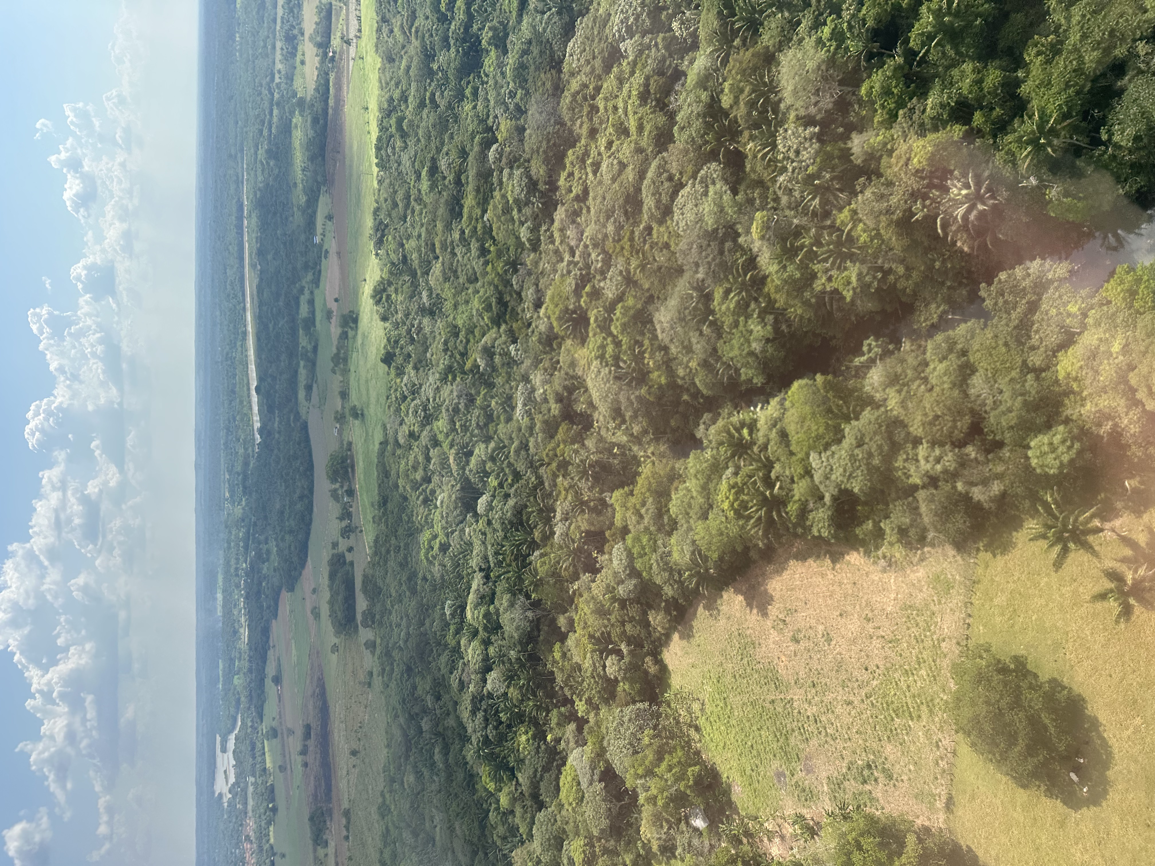 Reforma agraria y política de drogas: la deuda pendiente con los territorios rurales de Colombia