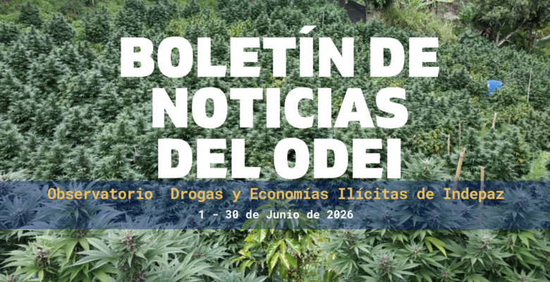 📄 BOLETÍN MENSUAL ODEI